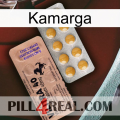 Kamarga 41